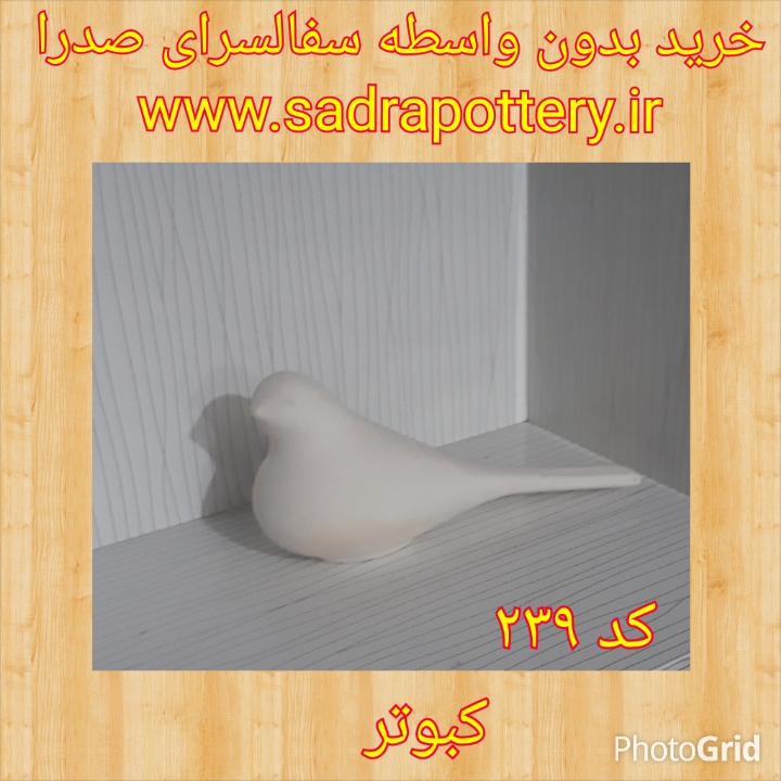 تصویر کد ۲۳۹ کبوتر